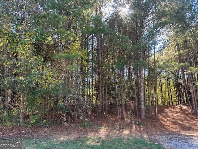 2100 Adel Road Conyers GA 30013