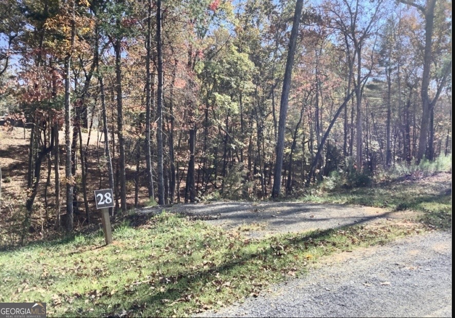 0 Lake Top Lane Ellijay GA 30536