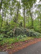 410 Dogwood Drive Canton GA 30114
