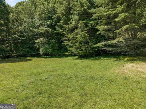 Lot 8 Tipton Court Cherry Log GA 30522