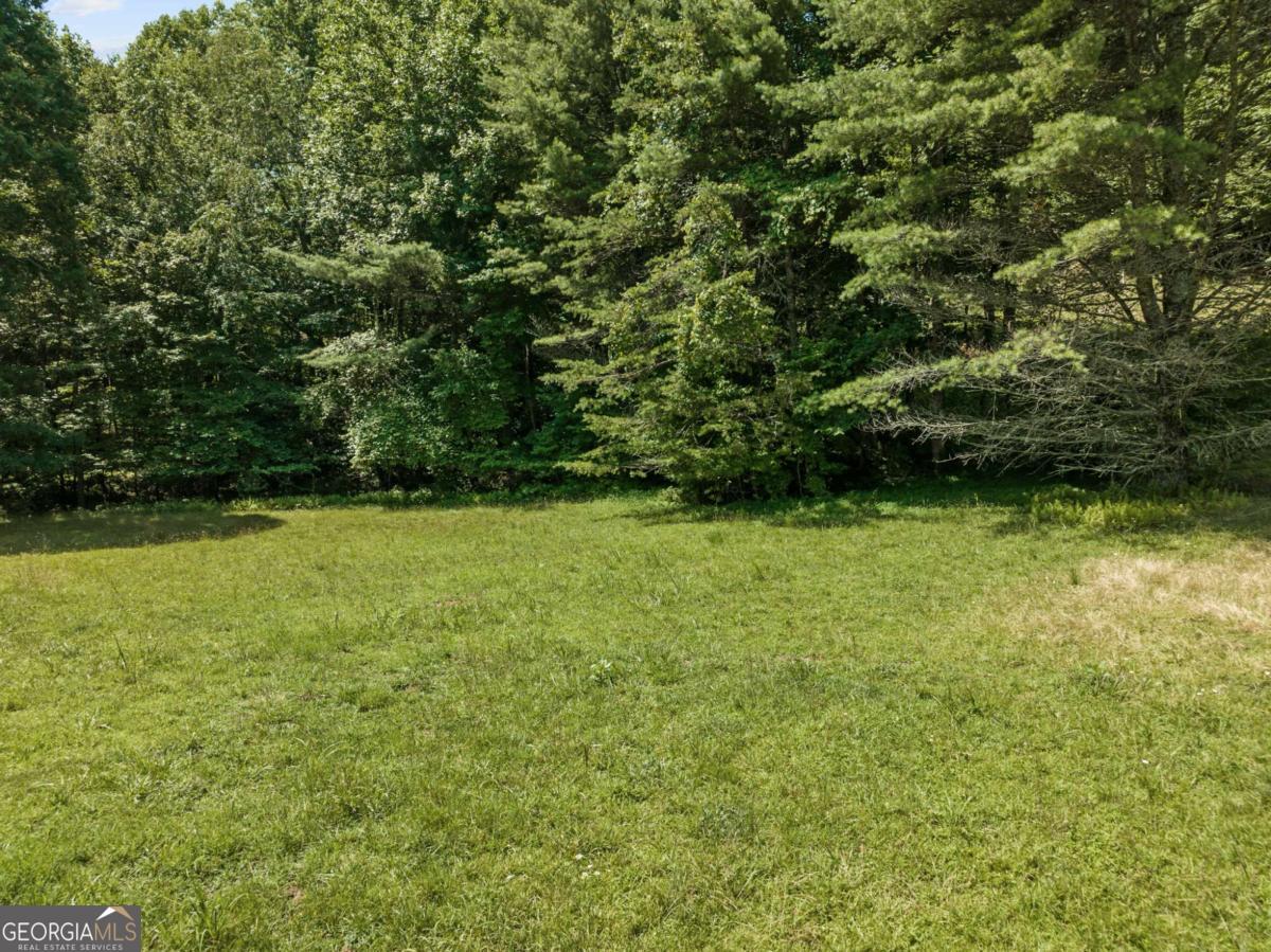 Lot 8 Tipton Court Cherry Log GA 30522