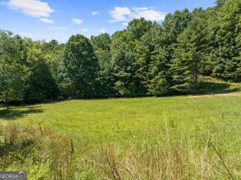 Lot 8 Tipton Court Cherry Log GA 30522