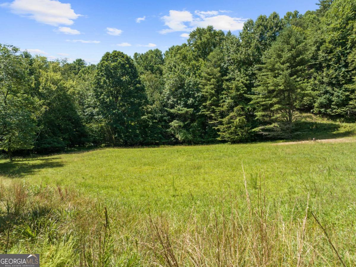 Lot 8 Tipton Court Cherry Log GA 30522