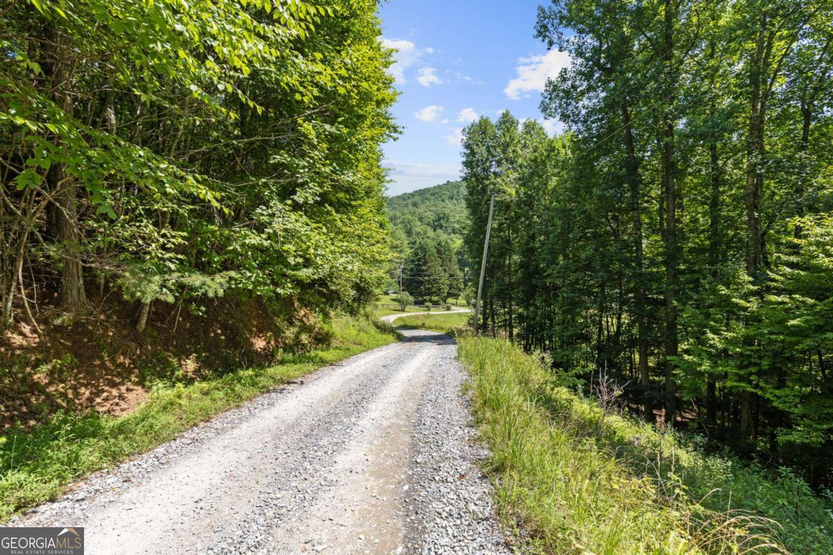 Lot 8 Tipton Court Cherry Log GA 30522