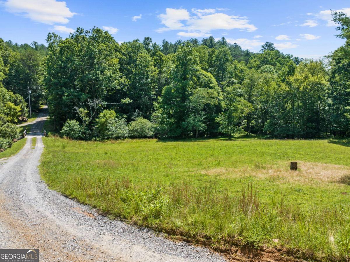Lot 8 Tipton Court Cherry Log GA 30522