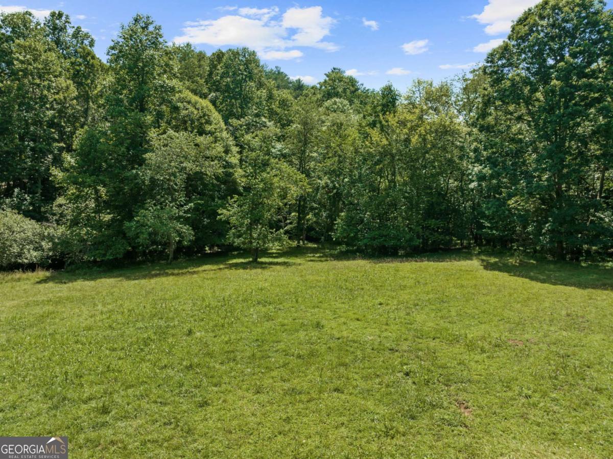 Lot 8 Tipton Court Cherry Log GA 30522