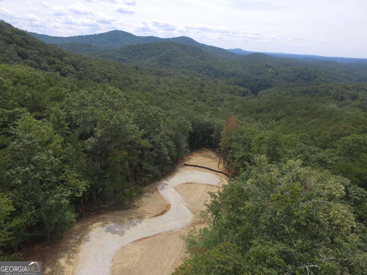 560 Dream View Drive Ellijay GA 30536