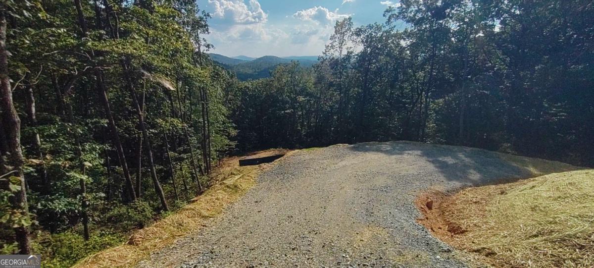 560 Dream View Drive Ellijay GA 30536