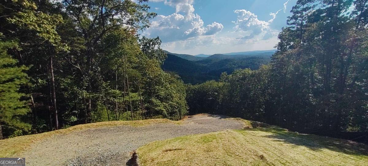 560 Dream View Drive Ellijay GA 30536