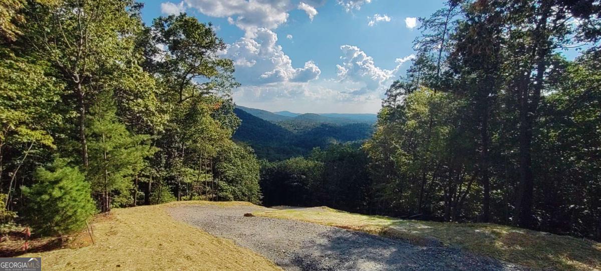 560 Dream View Drive Ellijay GA 30536