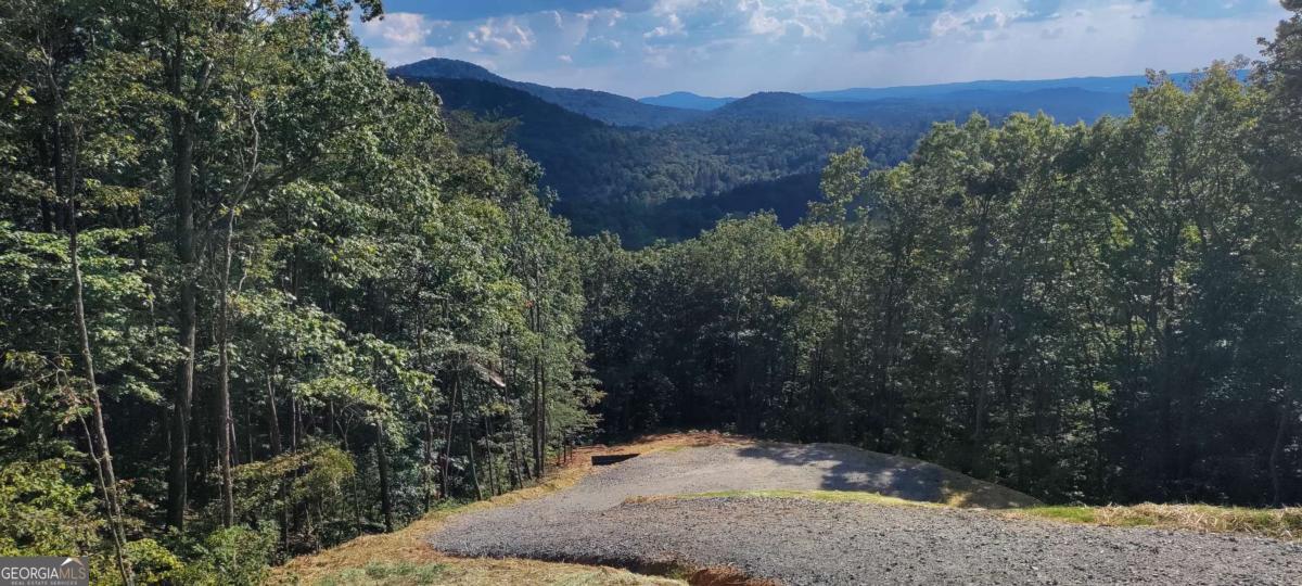 560 Dream View Drive Ellijay GA 30536