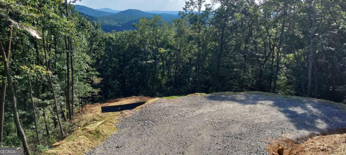 560 Dream View Drive Ellijay GA 30536
