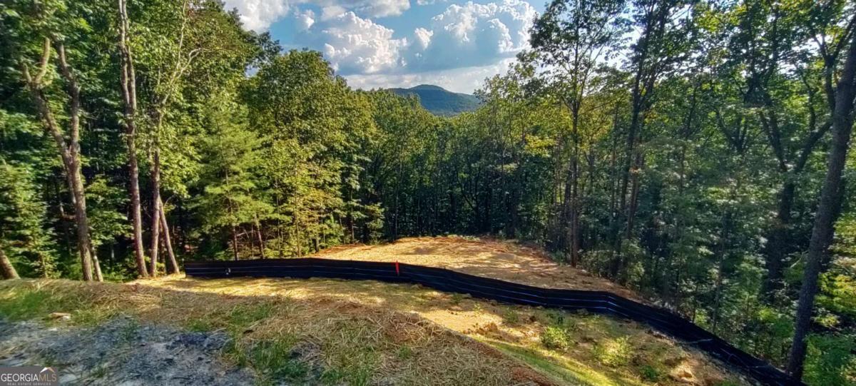560 Dream View Drive Ellijay GA 30536