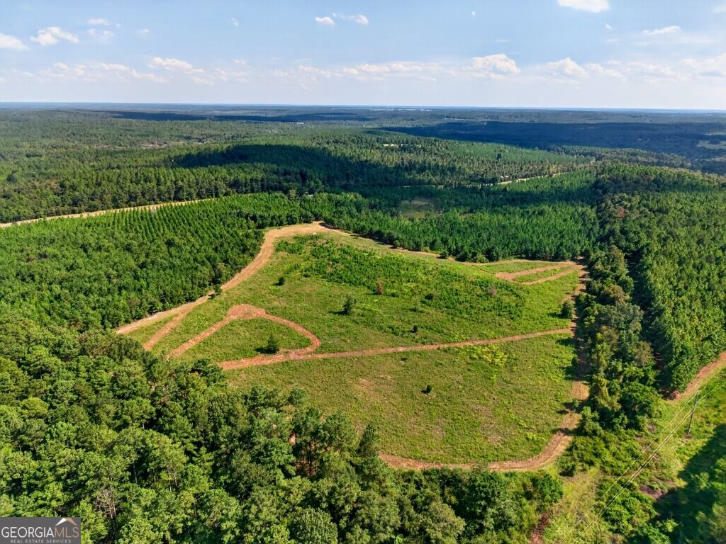 2150 Buena Vista Highway Mauk GA 31058
