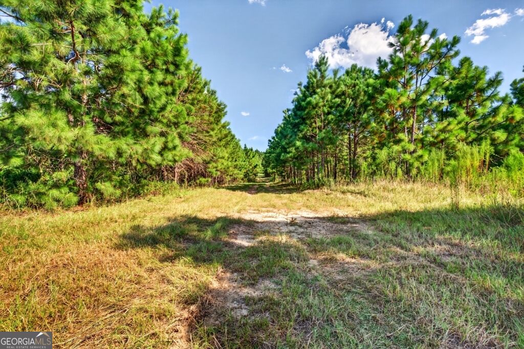 2150 Buena Vista Highway Mauk GA 31058