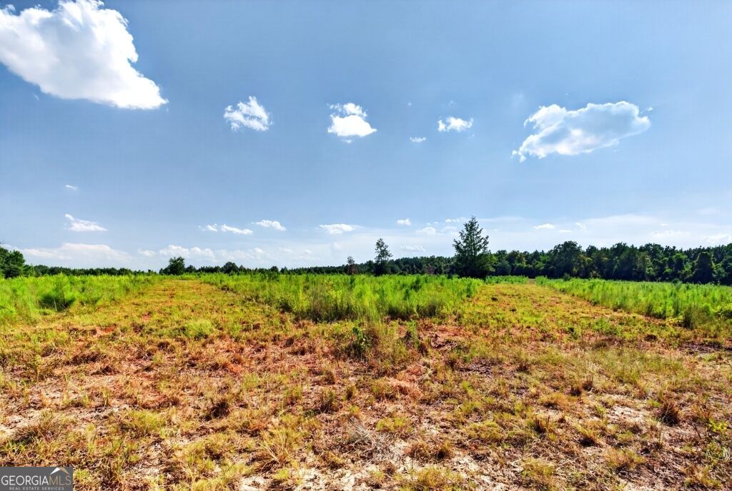 2150 Buena Vista Highway Mauk GA 31058
