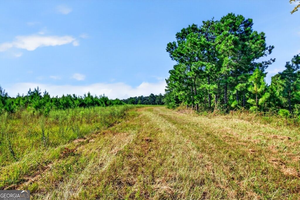 2150 Buena Vista Highway Mauk GA 31058