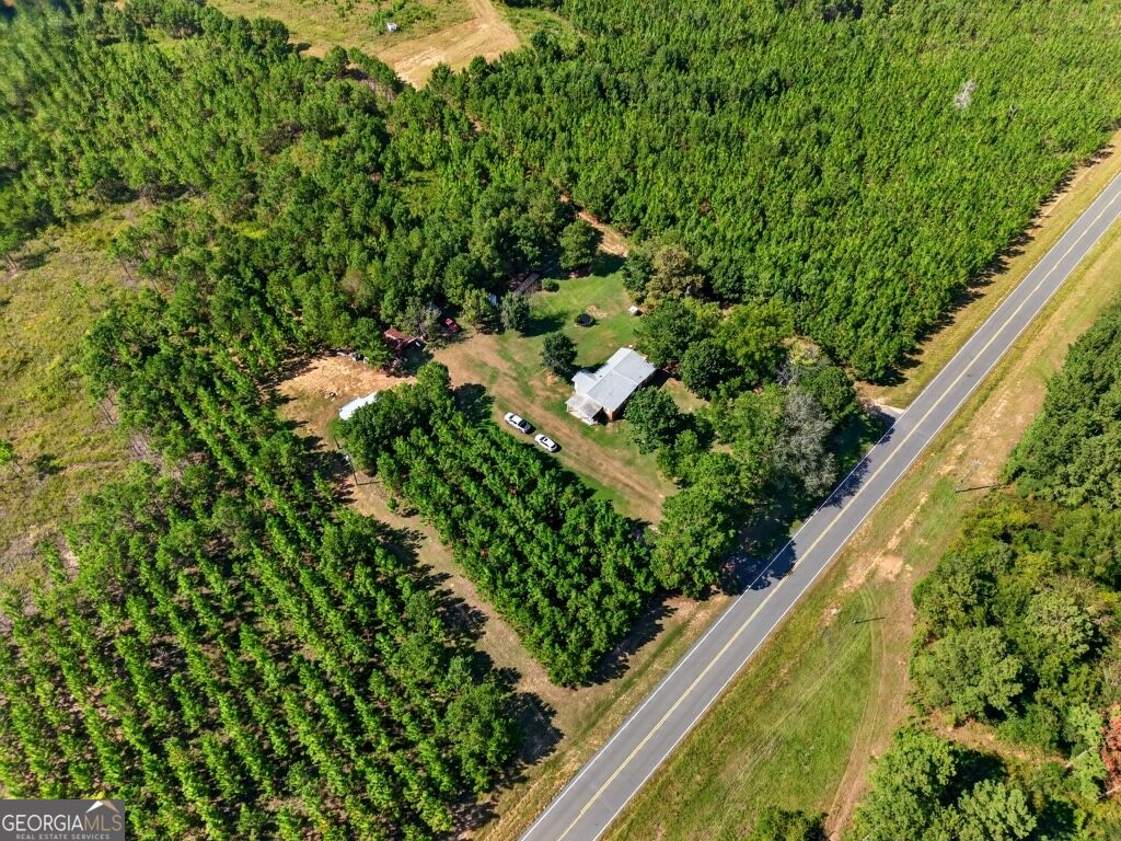 2150 Buena Vista Highway Mauk GA 31058