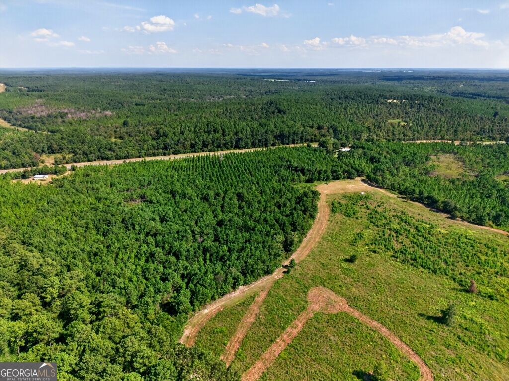 2150 Buena Vista Highway Mauk GA 31058