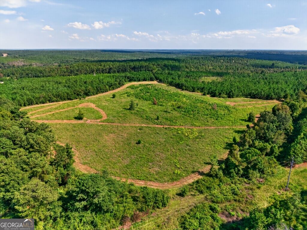 2150 Buena Vista Highway Mauk GA 31058