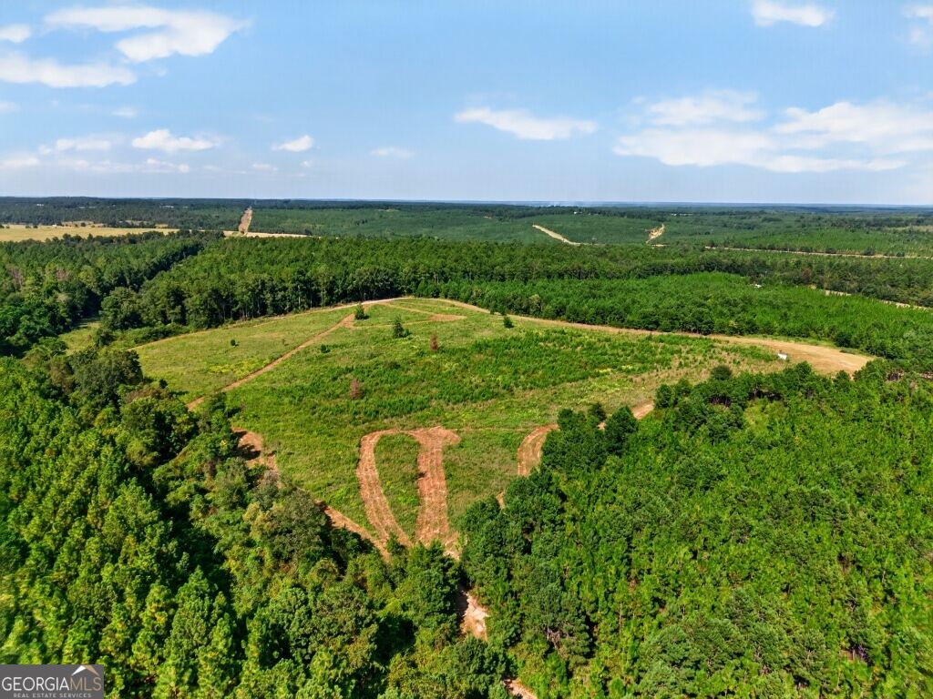 2150 Buena Vista Highway Mauk GA 31058