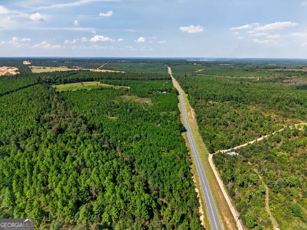 2150 Buena Vista Highway Mauk GA 31058