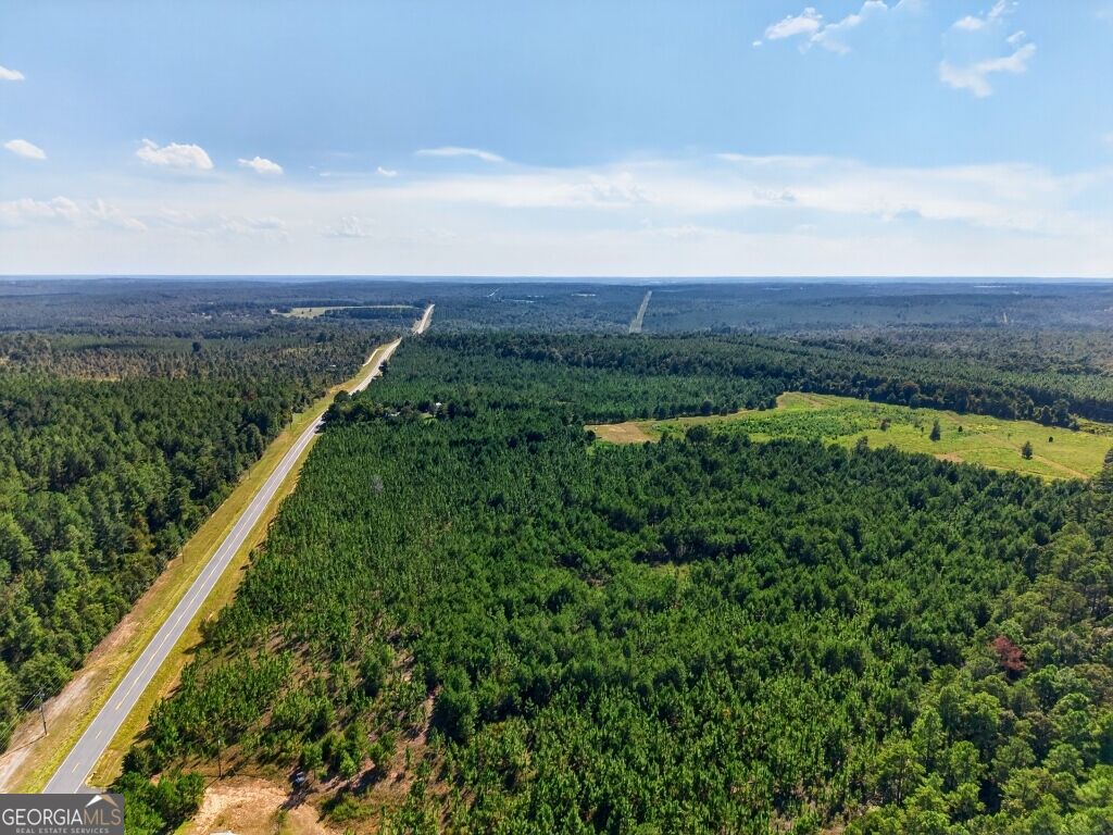 2150 Buena Vista Highway Mauk GA 31058