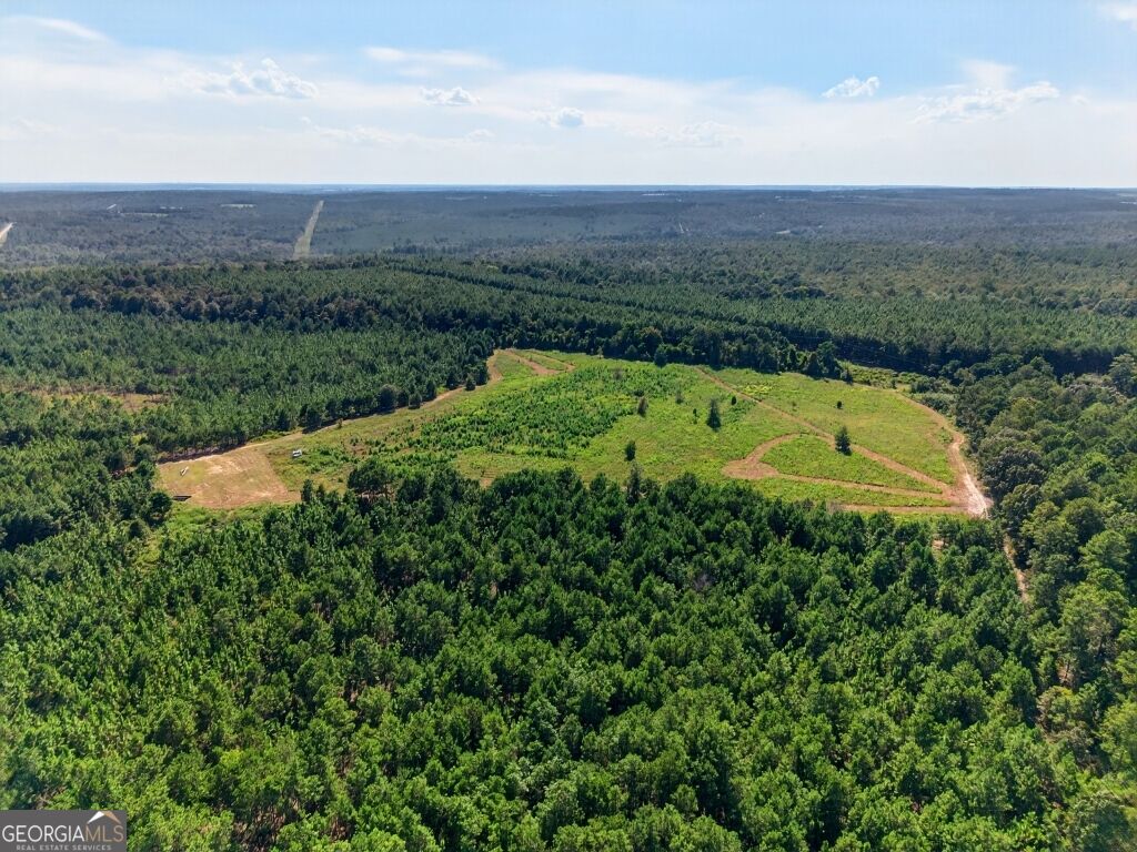2150 Buena Vista Highway Mauk GA 31058