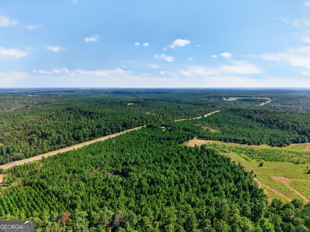 2150 Buena Vista Highway Mauk GA 31058