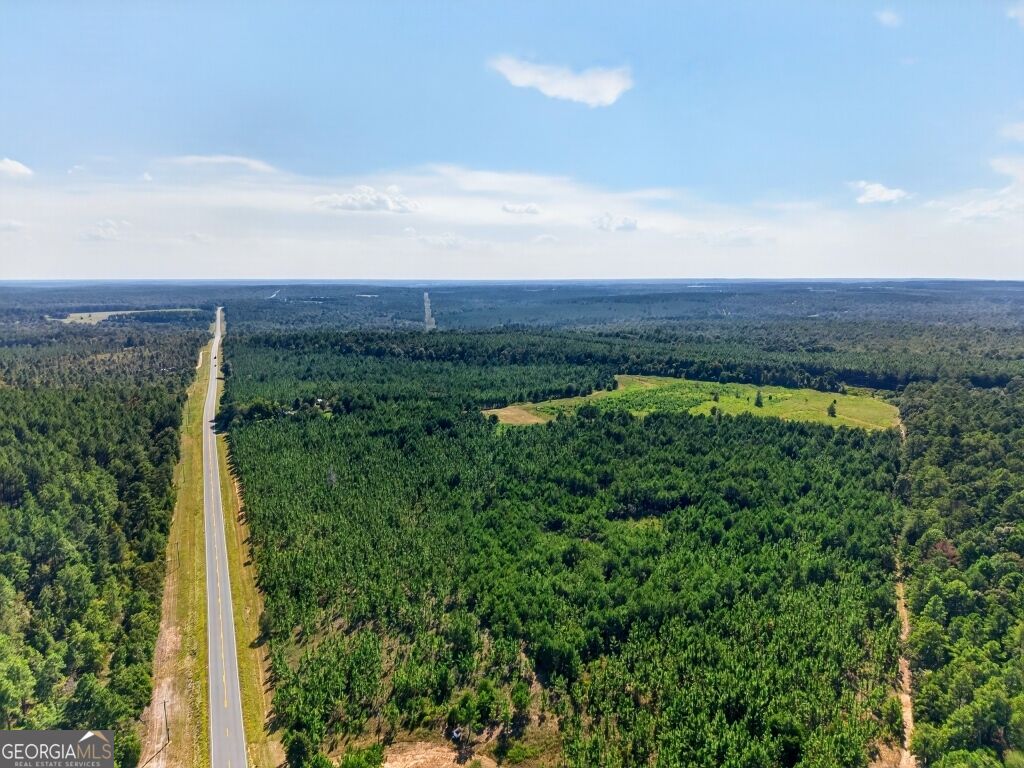 2150 Buena Vista Highway Mauk GA 31058