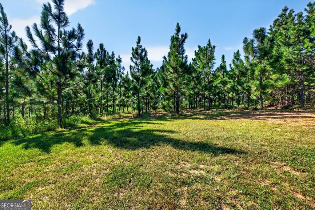 2150 Buena Vista Highway Mauk GA 31058