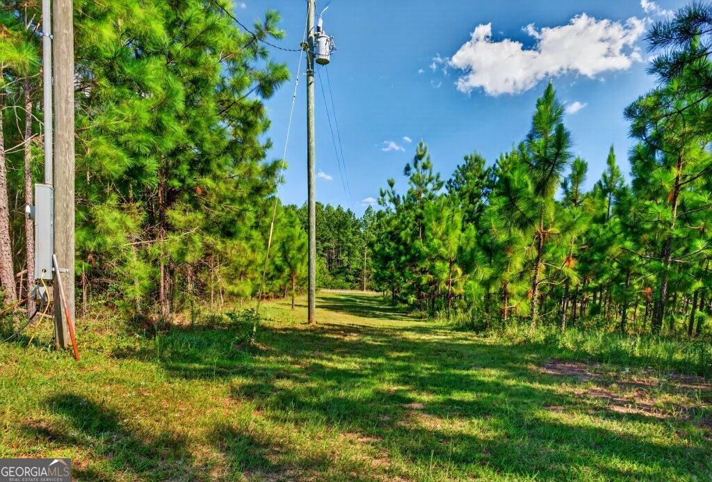 2150 Buena Vista Highway Mauk GA 31058