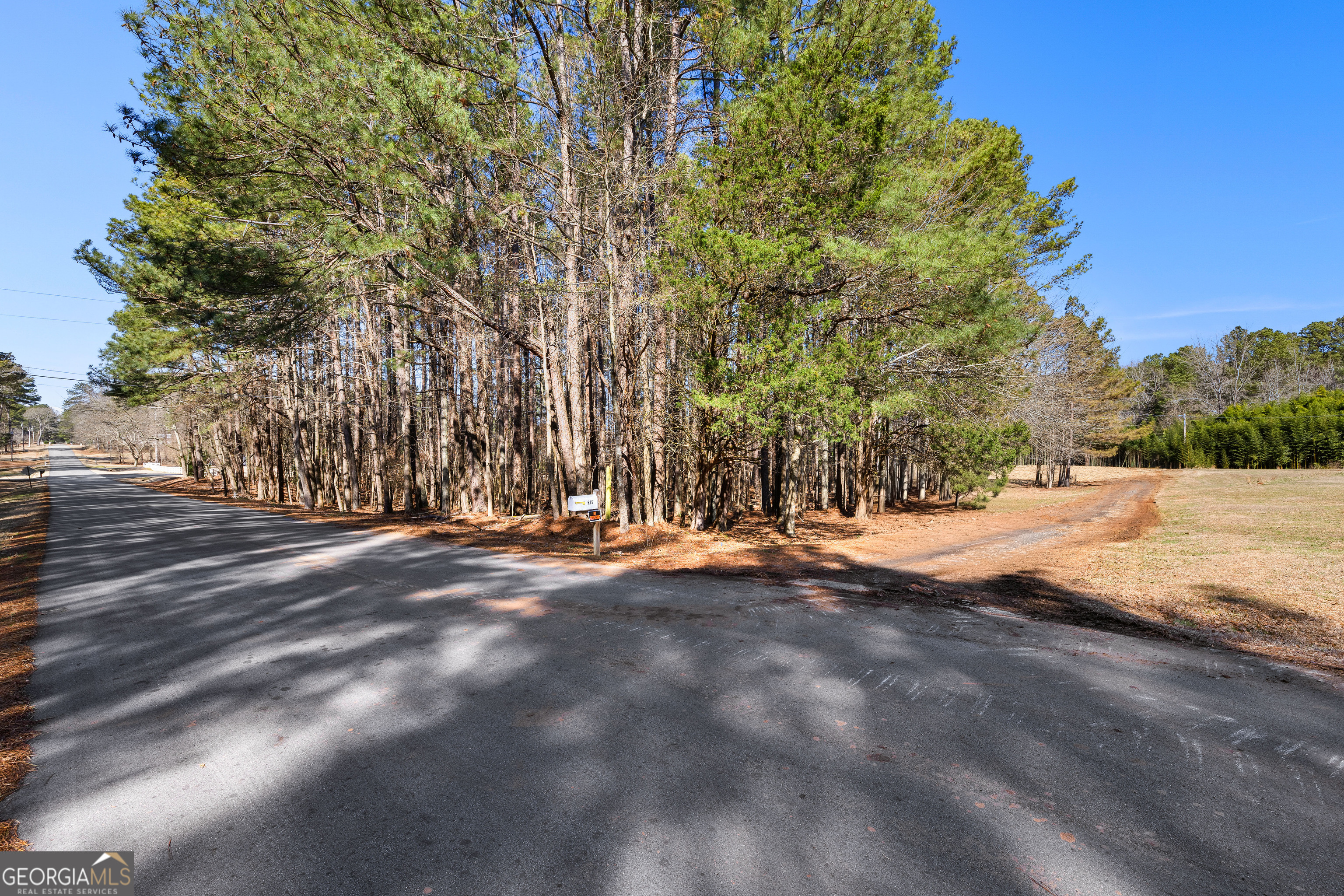 535 Laurelwood Drive Tyrone GA 30290