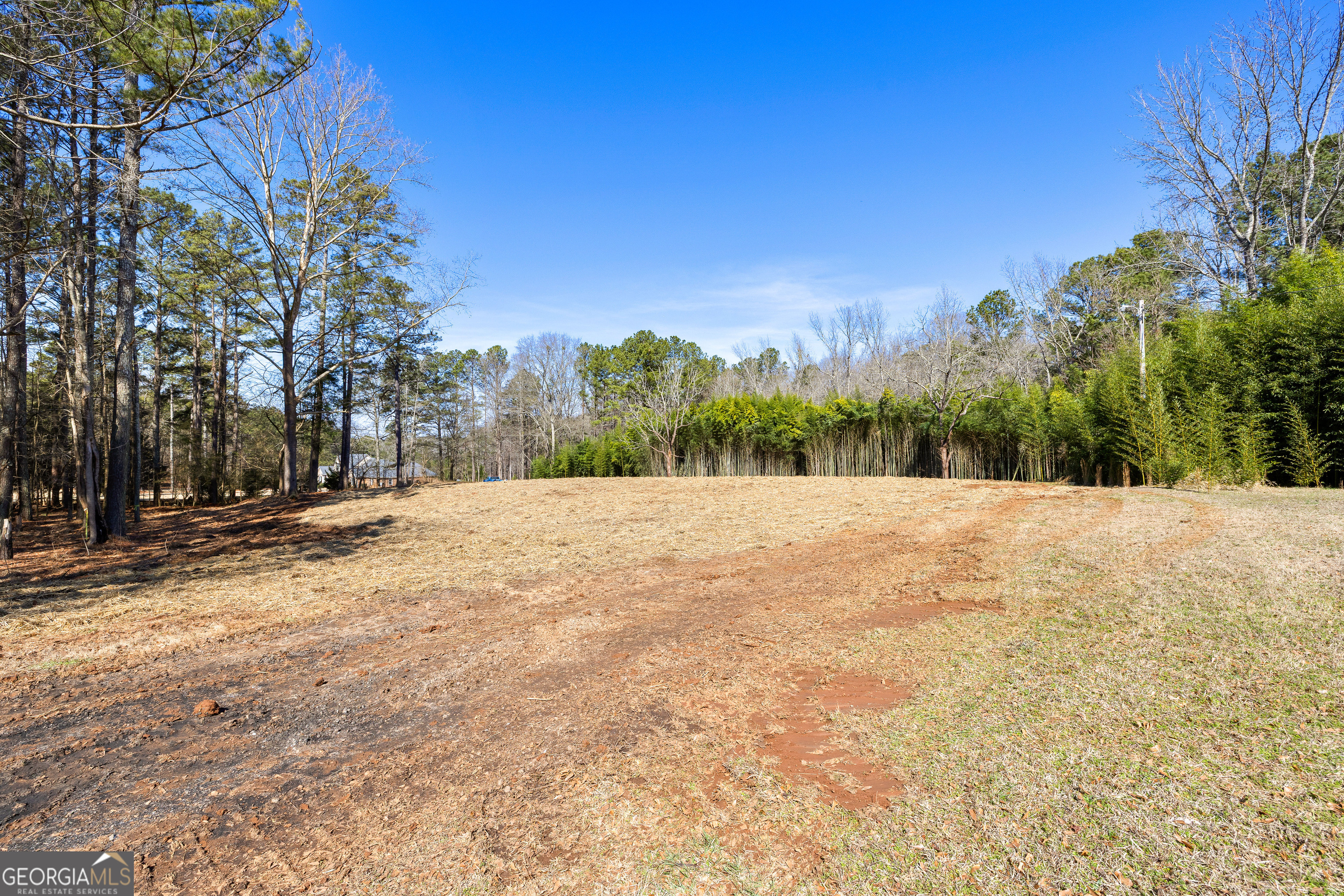 535 Laurelwood Drive Tyrone GA 30290