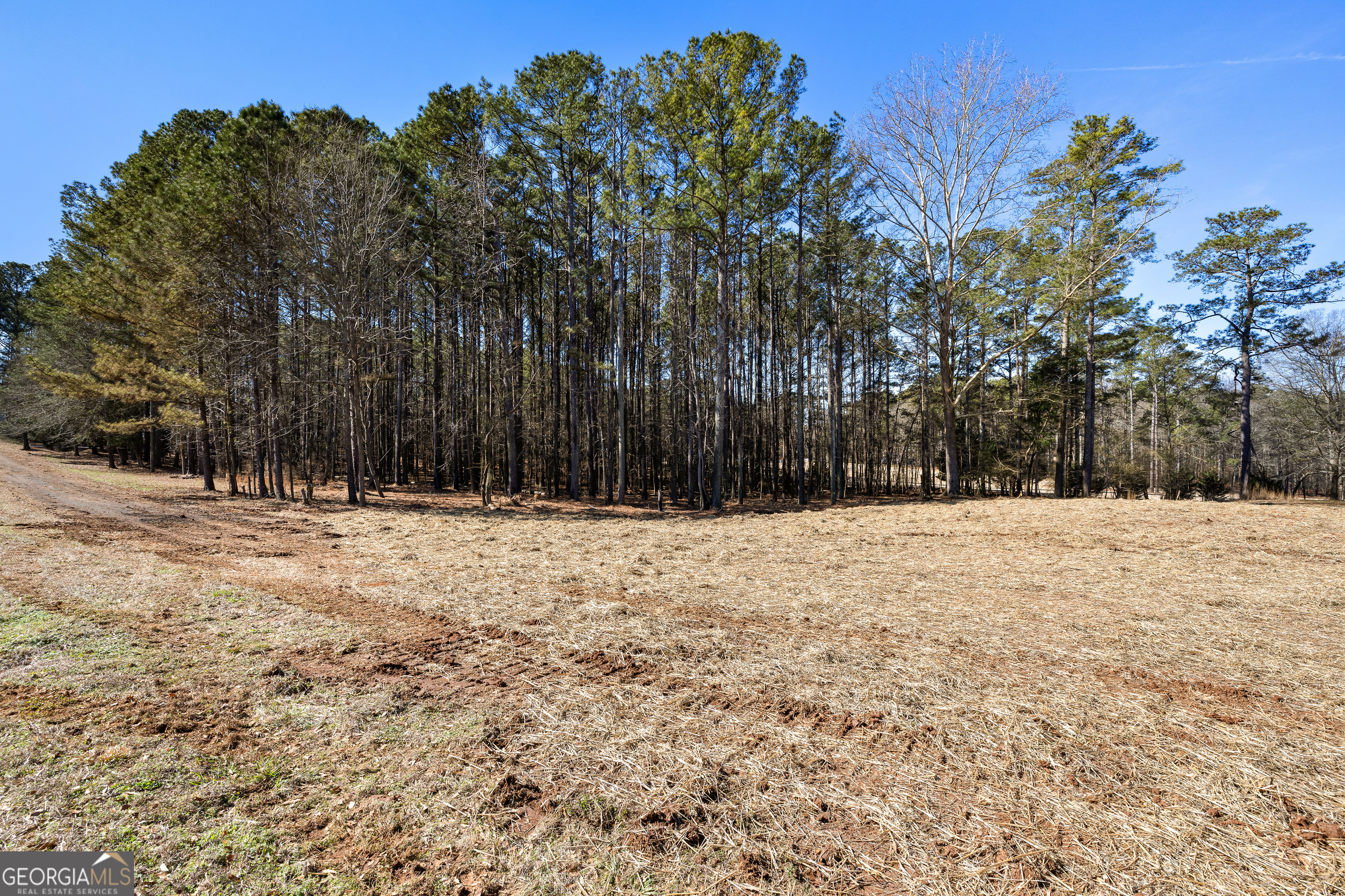 535 Laurelwood Drive Tyrone GA 30290