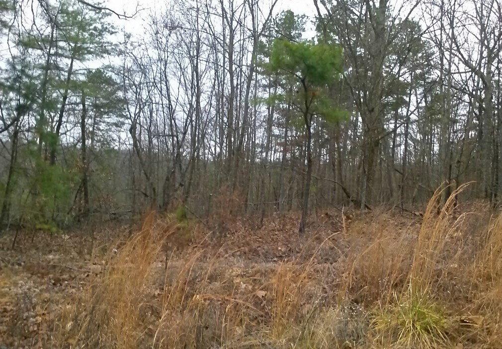 0 Cork Rome GA 30161