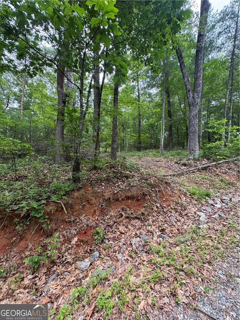 0 Nimblewill Creek Road Dahlonega GA 30533