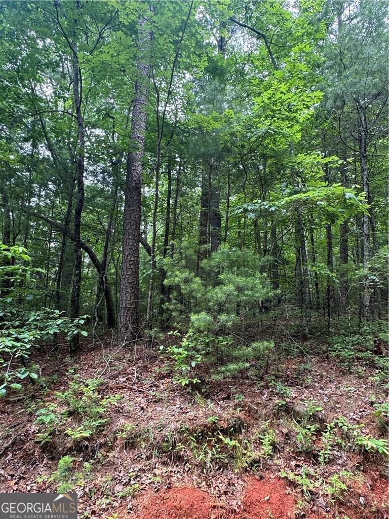 0 Nimblewill Creek Road Dahlonega GA 30533