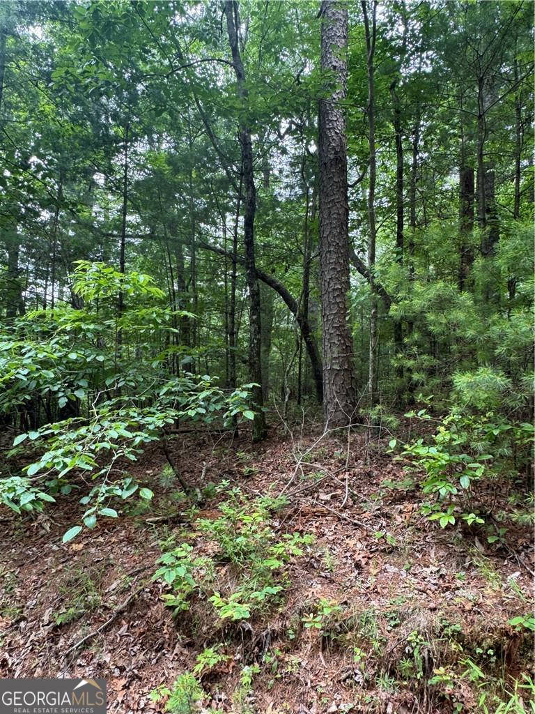 0 Nimblewill Creek Road Dahlonega GA 30533