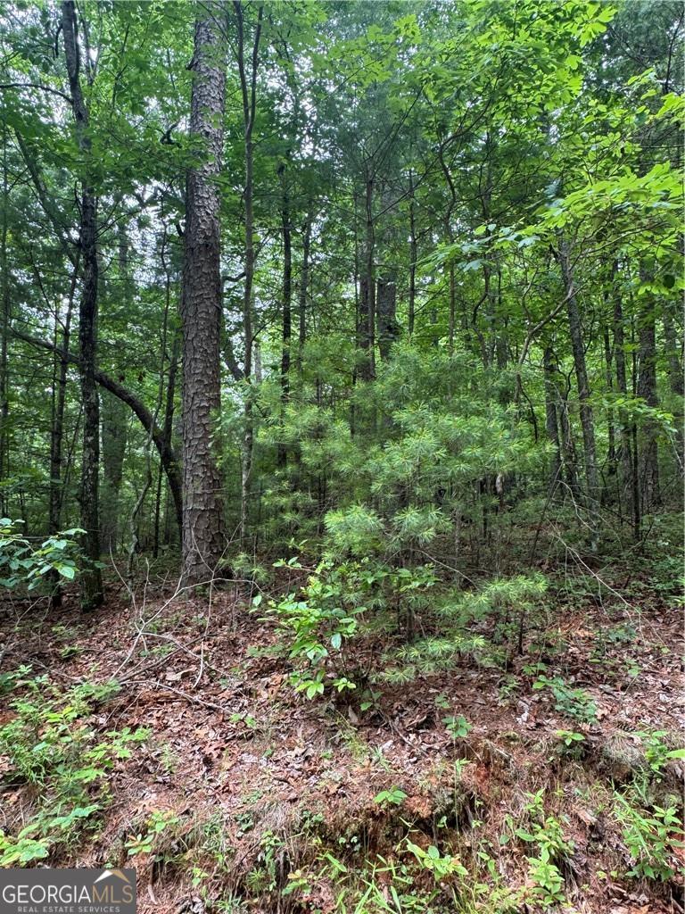 0 Nimblewill Creek Road Dahlonega GA 30533