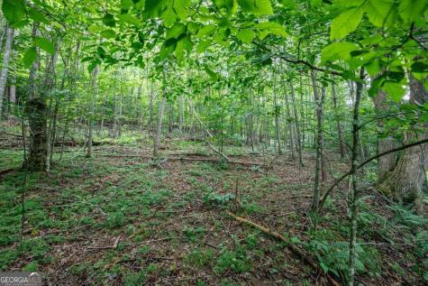 Lot 56 Bryant Cove S/d Blairsville GA 30512
