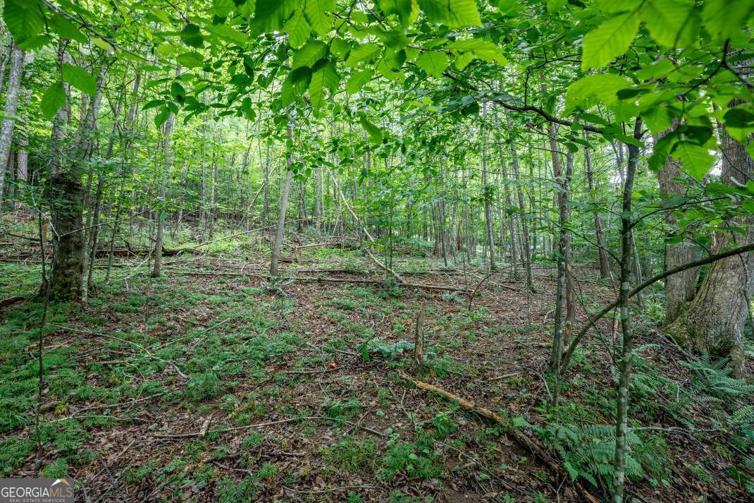 Lot 56 Bryant Cove S/d Blairsville GA 30512