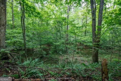 Lot 56 Bryant Cove S/d Blairsville GA 30512