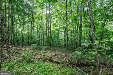 Lot 56 Bryant Cove S/d Blairsville GA 30512