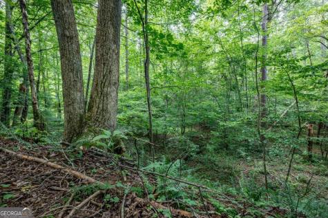 Lot 56 Bryant Cove S/d Blairsville GA 30512