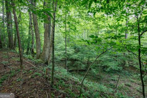 Lot 56 Bryant Cove S/d Blairsville GA 30512