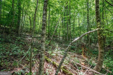 Lot 56 Bryant Cove S/d Blairsville GA 30512