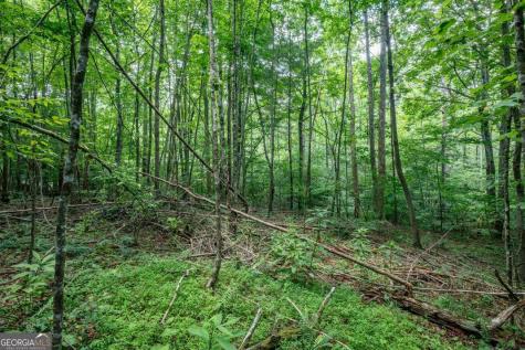 Lot 56 Bryant Cove S/d Blairsville GA 30512