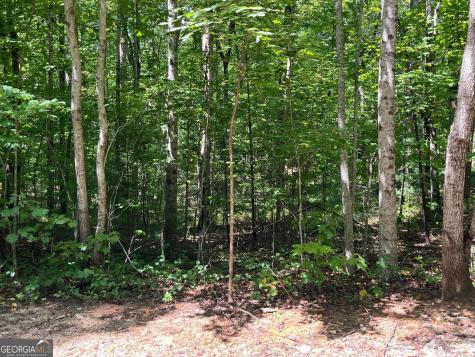 Lot 7 Forest Canopy Way Clayton GA 30525