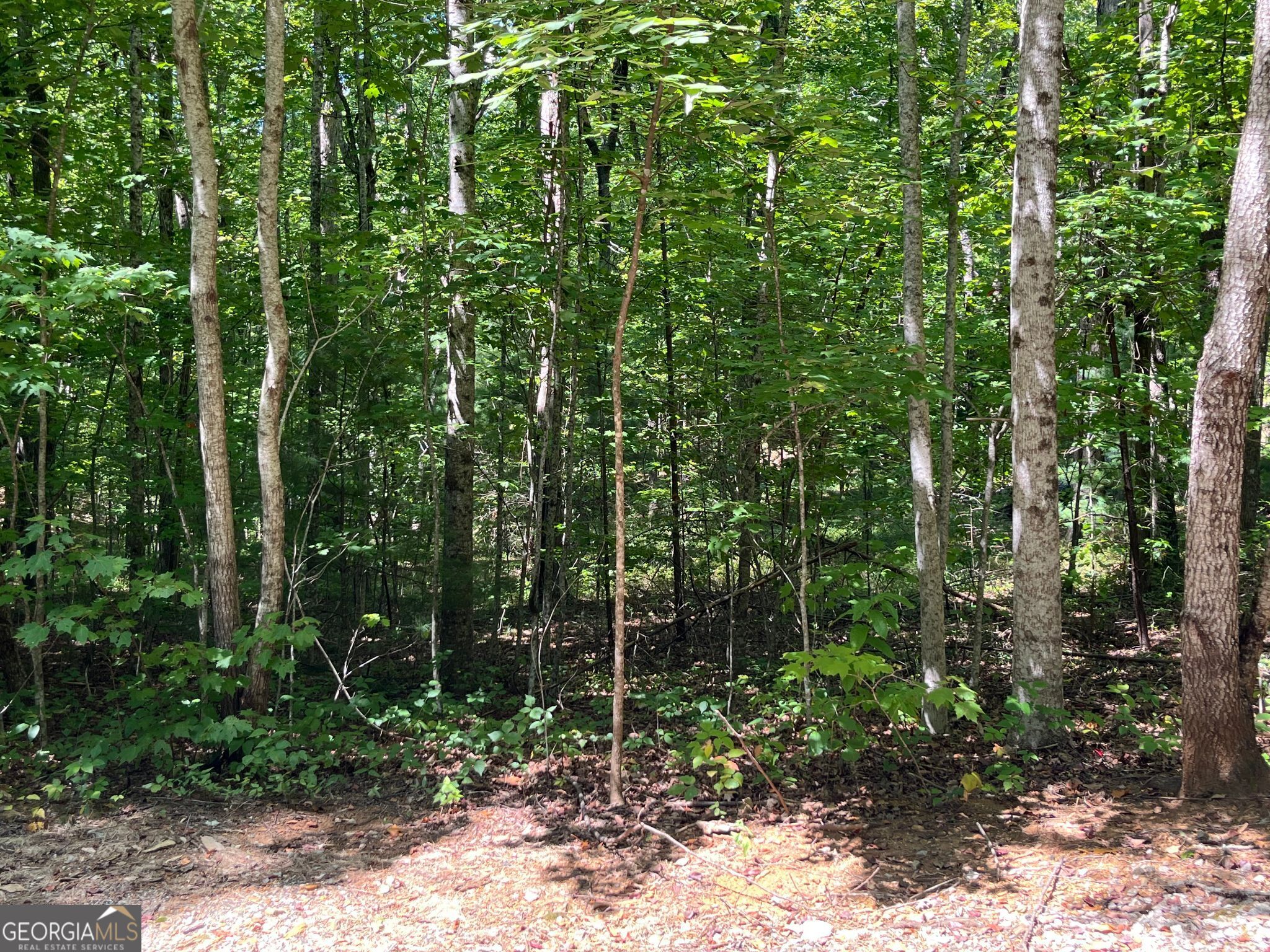 Lot 7 Forest Canopy Way Clayton GA 30525